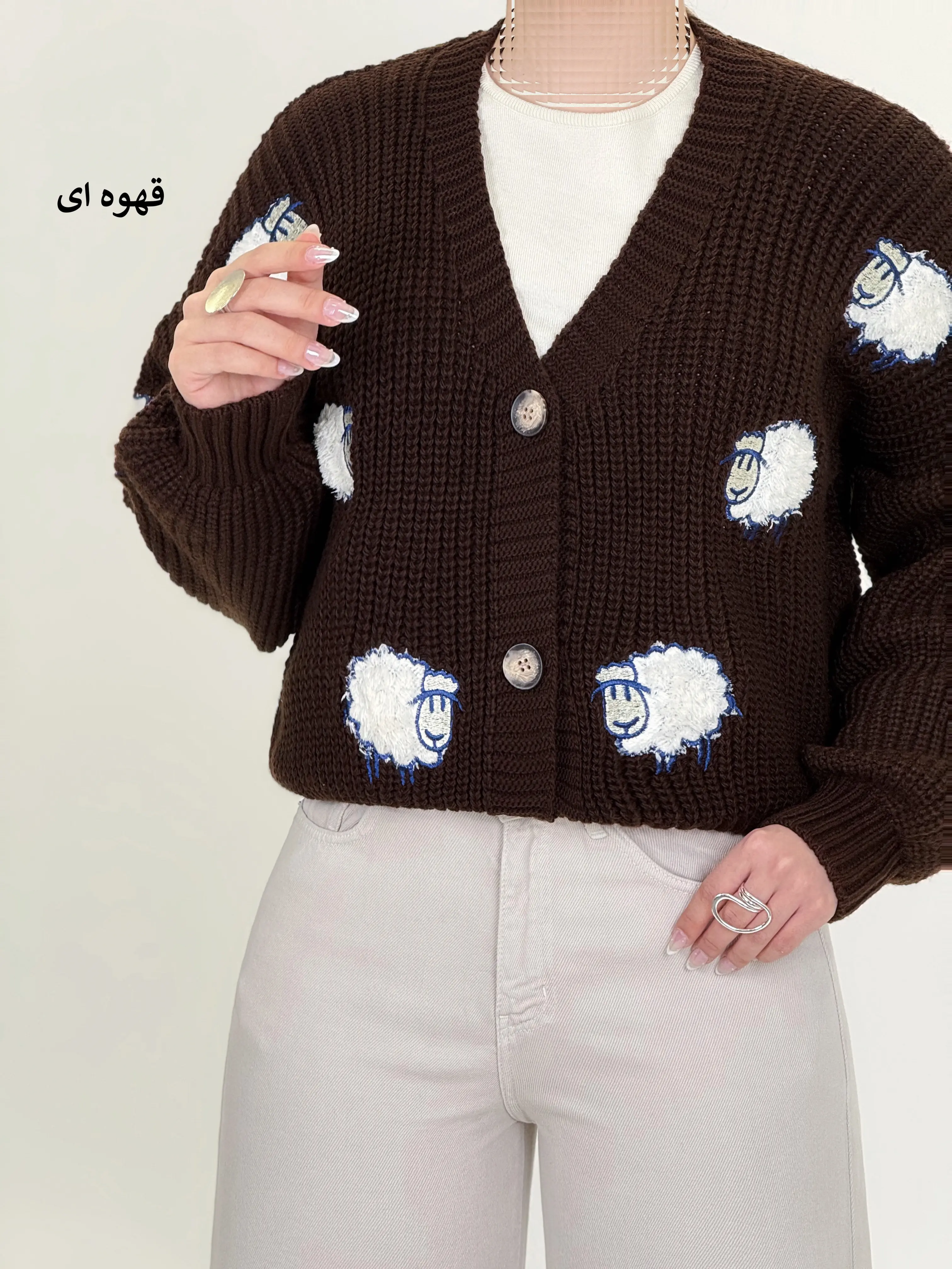7369-کاردیگن sheep